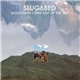 Slugabed - Mountains Come Out Of The Sky